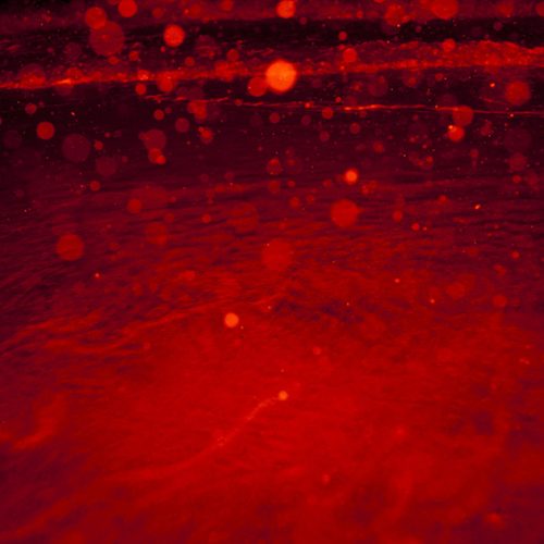 MESS-NOIR-pic-Augustin-Rebetez-500×500