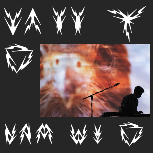 mehmetaslan_cover
