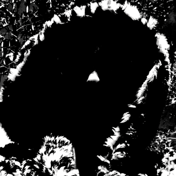 theabhorres